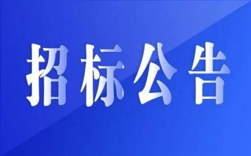 招标代理半年度总结6篇