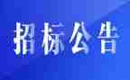 招标代理半年度总结6篇