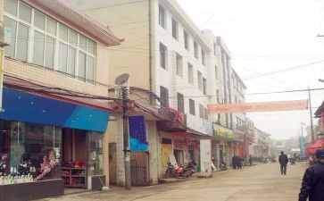 镇党委工作总结报告6篇