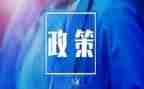 关于双减政策的心得体会8篇