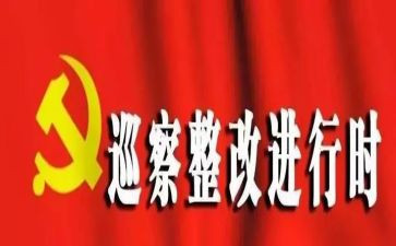 被巡察单位整改报告5篇