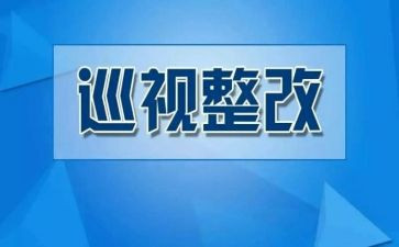 医保整改自查报告最新6篇