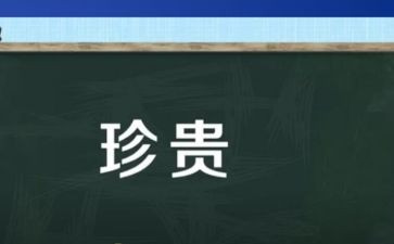 亲情最珍贵作文600字5篇