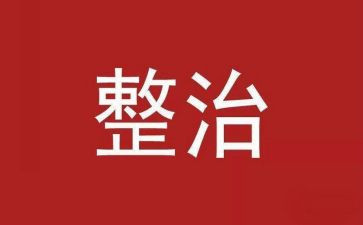 整治办工作总结优秀5篇