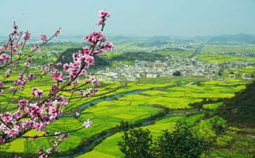 2024乡村振兴心得体会通用8篇