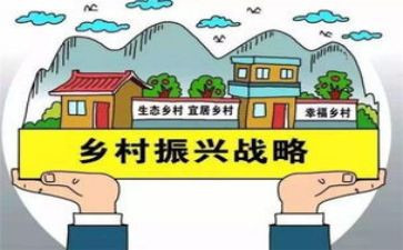 2024乡村振兴心得通用6篇