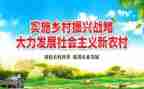 乡村振兴事迹的范文优质6篇