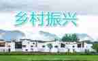 2024乡村振兴干部培训心得体会7篇