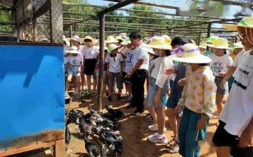 镇职业安全健康工作计划8篇