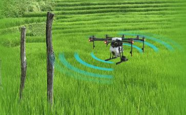 2024年植保工作总结7篇