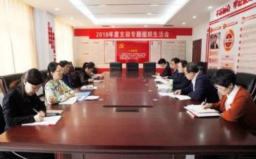党支部的工作总结8篇
