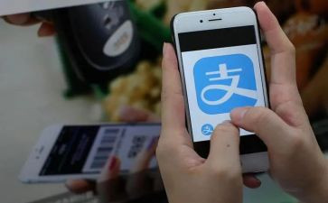 支付宝申请书8篇