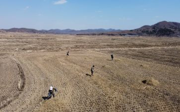 村乡村治理汇报材料6篇