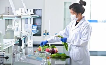 质量科年度总结报告6篇