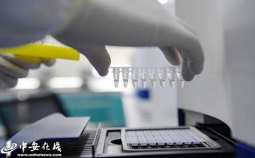 质量部的工作总结通用6篇