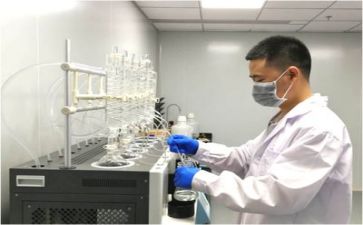 2024年质量工作总结精选6篇