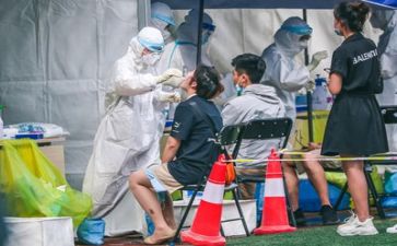 2024质量工作总结精选5篇