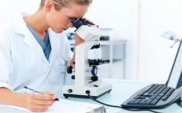 2024年质量部工作总结推荐6篇