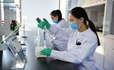 质量总结报告最新7篇