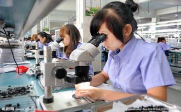 质量部年度工作计划7篇