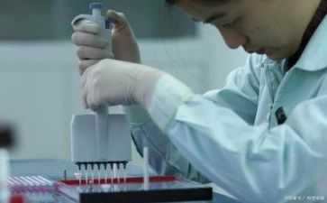 数质量工作总结精选8篇