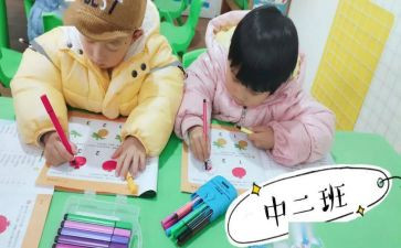 幼儿中班教案及教学反思5篇