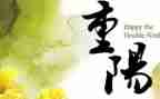 活动方案重阳节活动方案6篇
