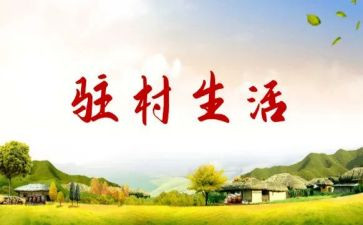 2024驻村工作个人总结8篇