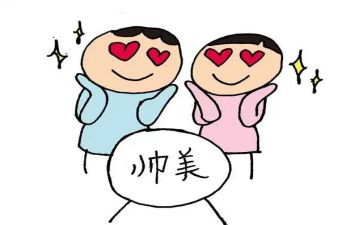 追星的利与弊作文600字8篇