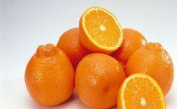 橘子的心读后感最新6篇