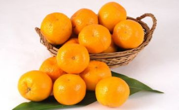 橘子的心作文6篇