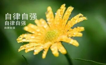 做自强少年演讲稿5篇