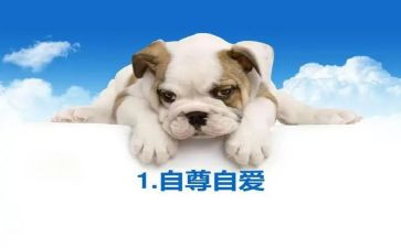 自尊的作文8篇