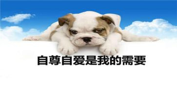 谈自尊演讲稿7篇
