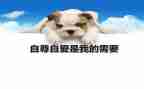谈自尊演讲稿7篇