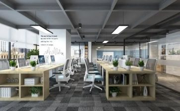 综合办公室工作总结和工作计划7篇