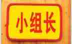 竞选组长演讲稿6篇
