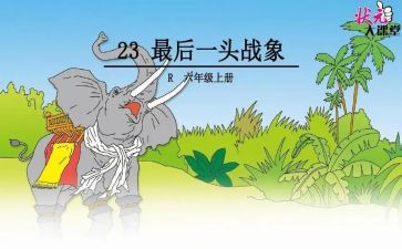 最后一头战象读书心得7篇