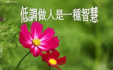 做人与作文的作文5篇