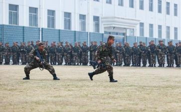 2024年保险公司组训工作总结7篇