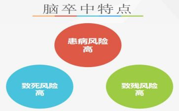 2024年脑卒中活动总结7篇